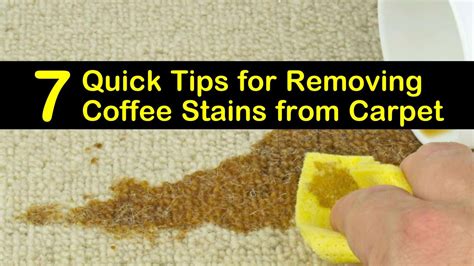 How to get rid of coffee stains. Things To Know About How to get rid of coffee stains. 